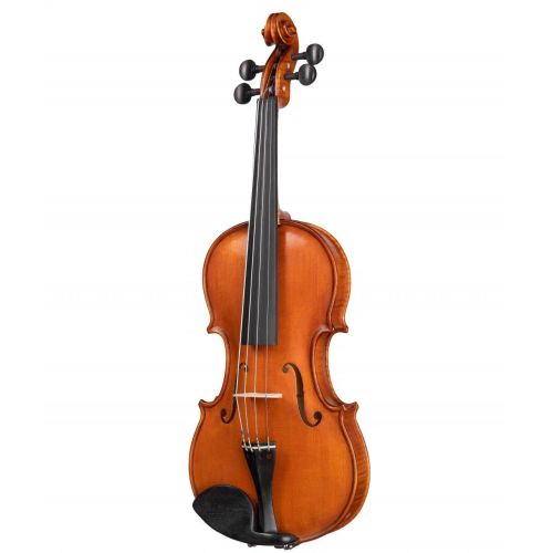 Скрипка Gliga Gems 1 AW-V012-S 1/2