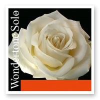 Струны для скрипки Pirastro Wondertone Solo 410521 (4 шт)