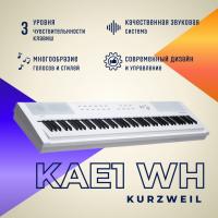 Цифровое пианино Kurzweil KaE1 белое