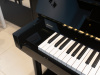 Пианино C. Bechstein Residence Classic 124 (BU) черное, полированное, Dampp-Chaser