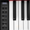 Цифровое пианино Muzplanet YDP-145WH