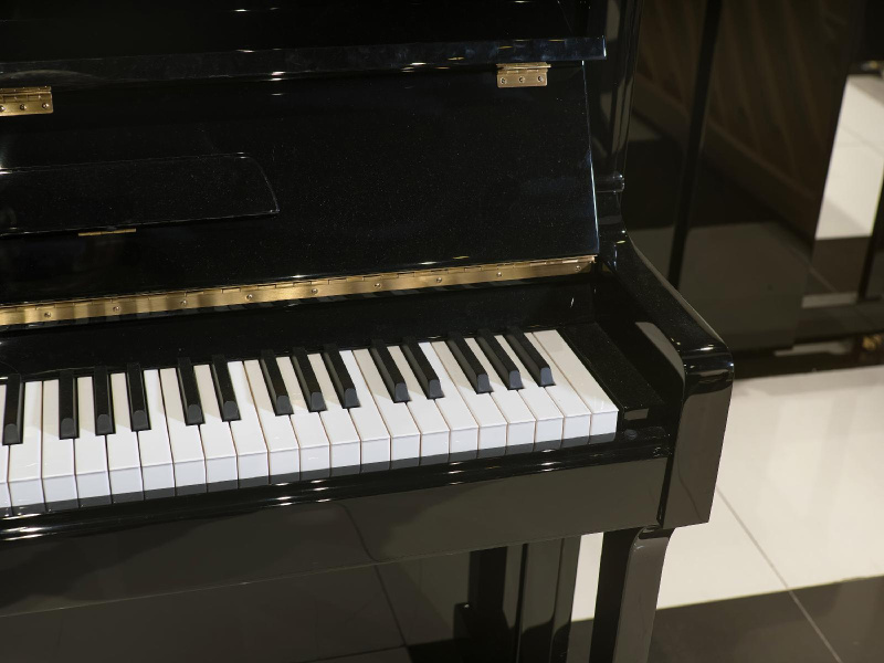 Пианино R. Lipp & Sohn 123 черное, полированное