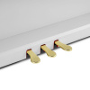 Цифровое пианино Muzplanet YDP-145WH