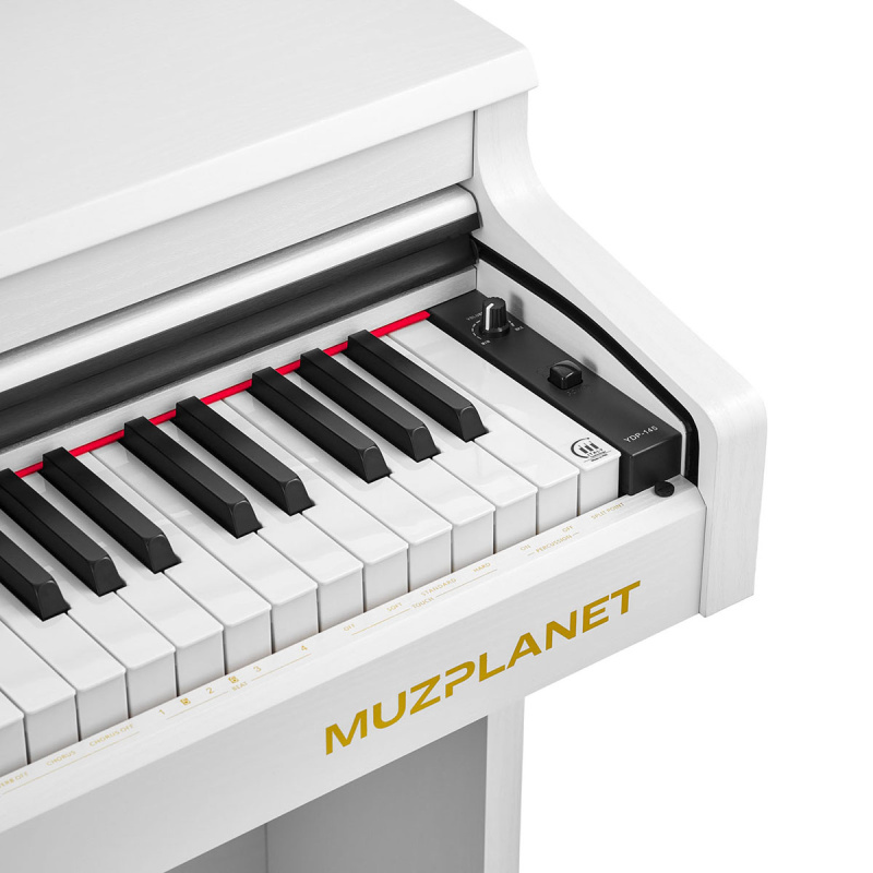 Цифровое пианино Muzplanet YDP-145WH
