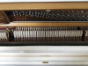 Пианино C. Bechstein Millenium 116K (BU214146) белое, полированное