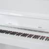 Цифровое пианино Orfeo E-1UP белое, полированное, с наушниками Цифровое пианино Orfeo E-1UP белое, полированное, с наушниками