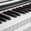 Цифровое пианино Muzplanet YDP-145WH