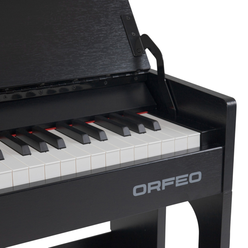 Цифровое пианино Orfeo E-6 черное, с наушниками