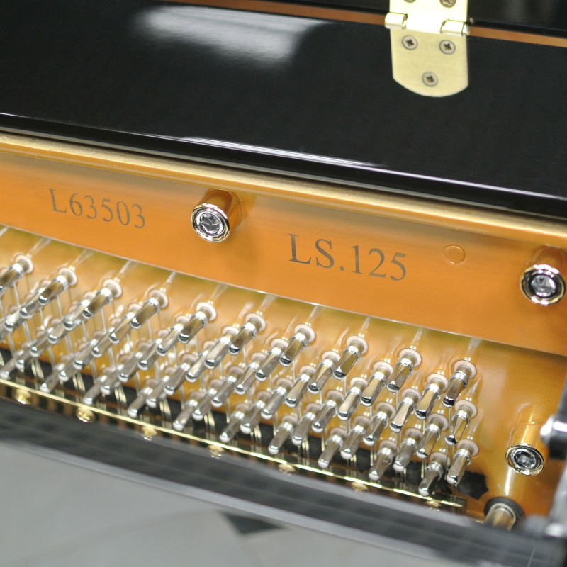 Пианино R. Lipp & Sohn 125 черное, полированное