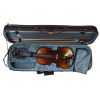 Комплект скрипичный Stefan Poladic 400 4/4 Комплект скрипичный Stefan Poladic 400 4/4